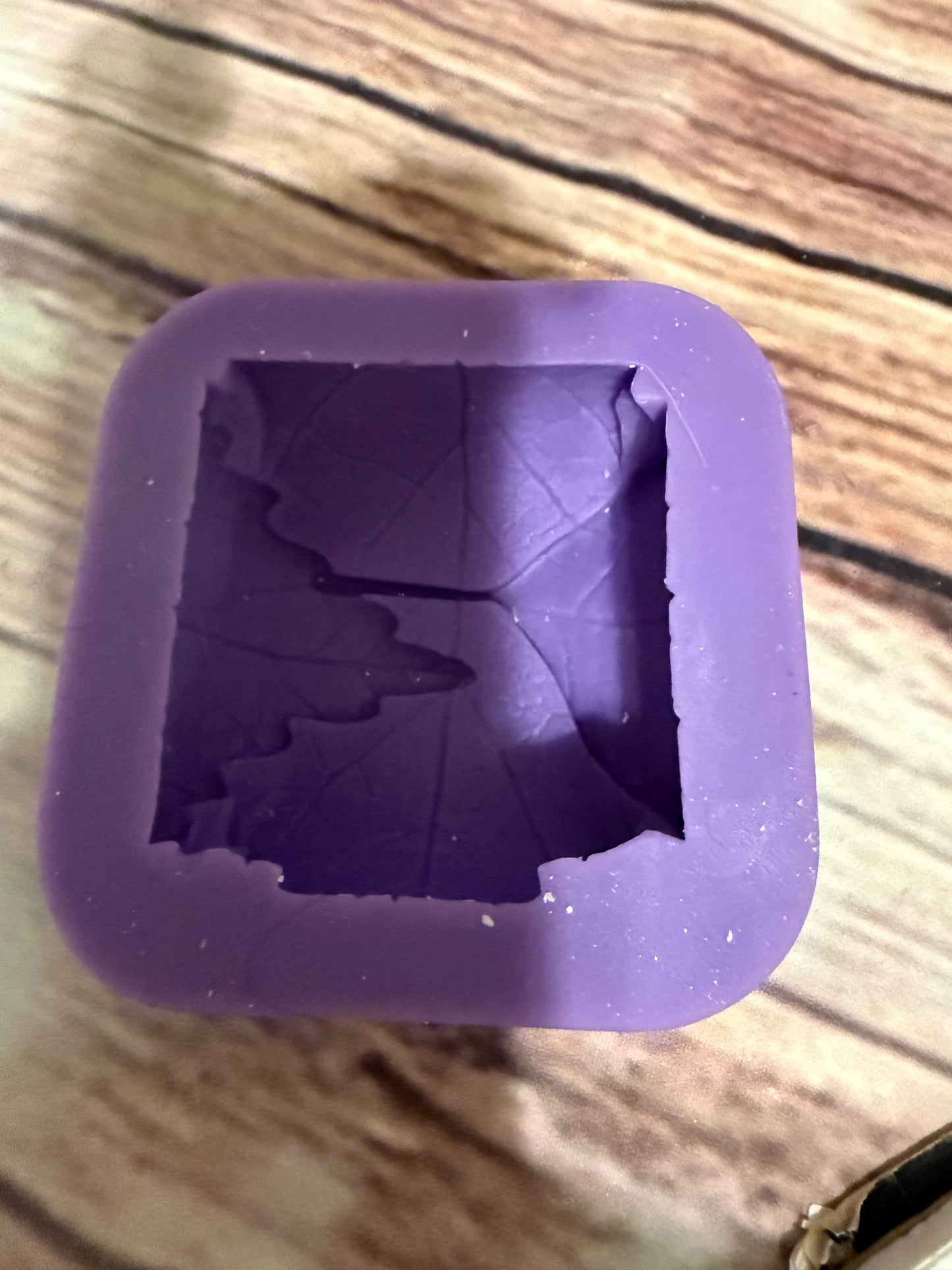 1 cavity leaf envelope mold