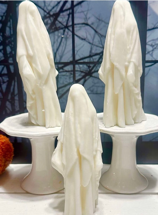 1 cavity shrouded lady mold