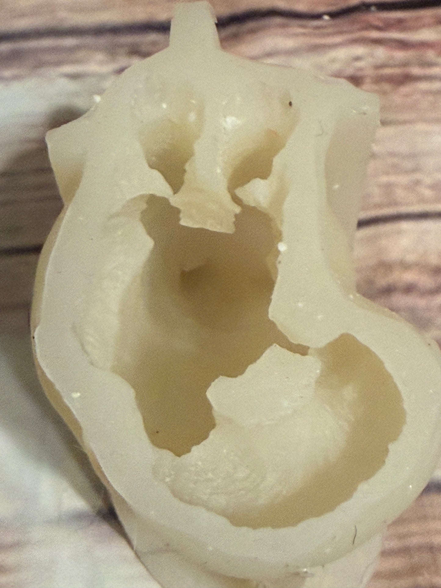 1 cavity cat mold
