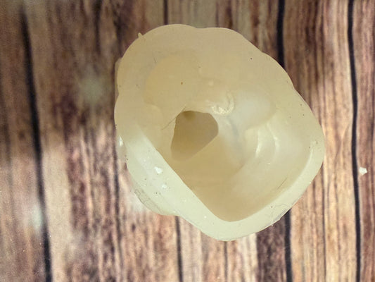 1 cavity devil mold