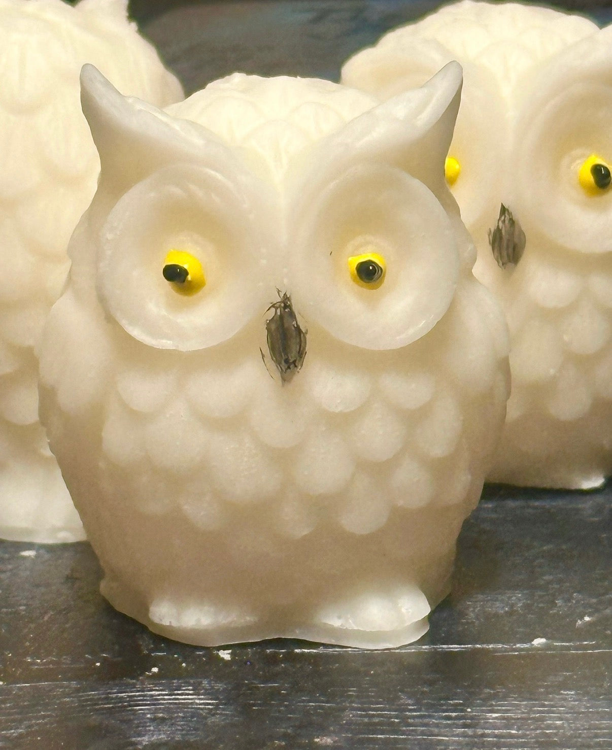 1 cavity small owl mold