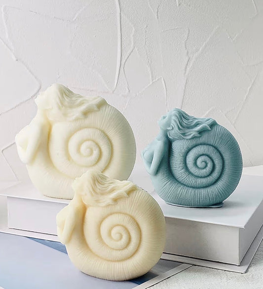 1 cavity mermaid with shell